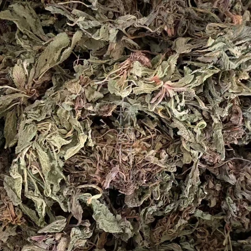 蛤蟆草【包邮】三斤起发货可批量可零售量大从优