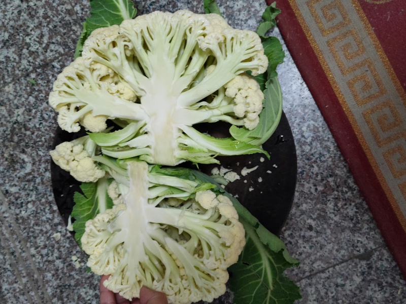 菜花大量上市，产地直销一手货源，支持视频看货欢迎电话联系