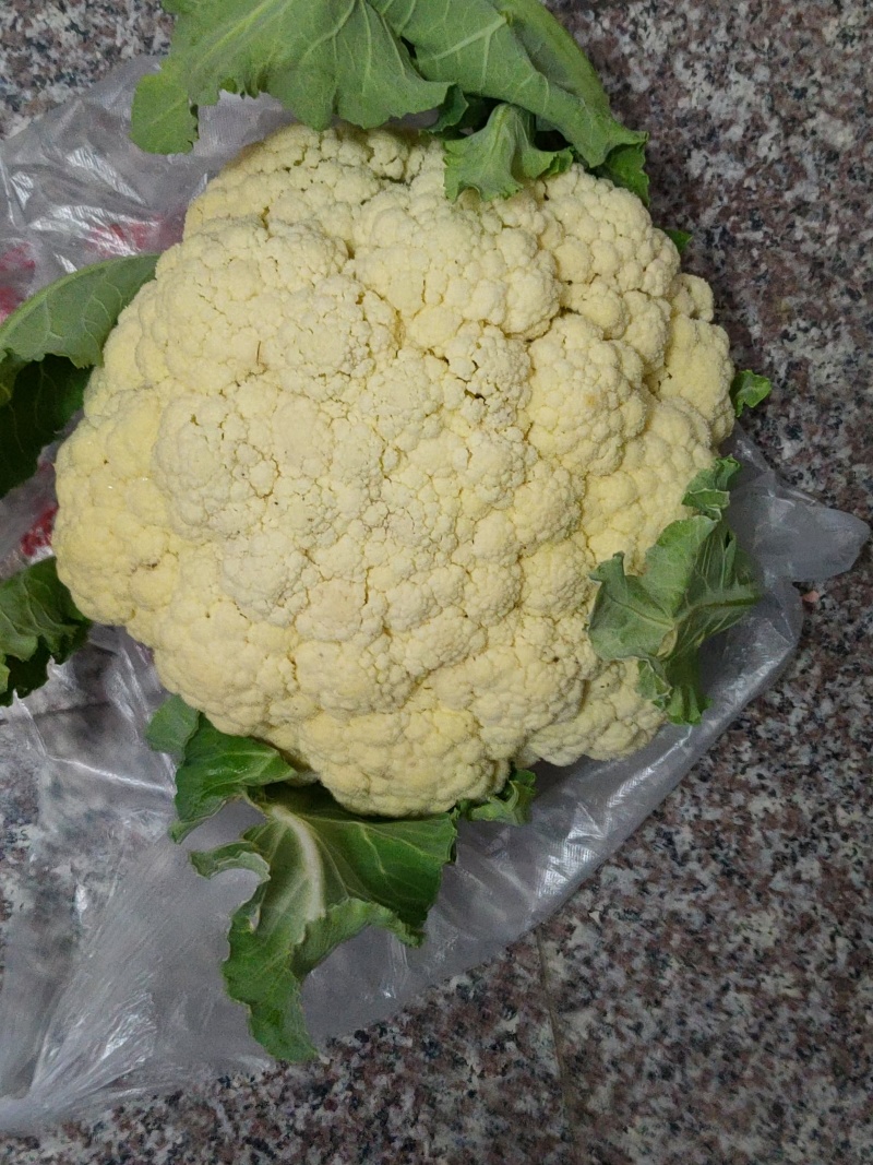 菜花大量上市，产地直销一手货源，支持视频看货欢迎电话联系