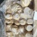 50羊肚货好价优
