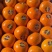云南沃柑对接电商平台社区团购各大批发市场一条龙服务