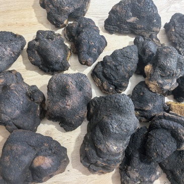 桦树茸切块，俄罗斯桦树茸，白桦茸，黑金油，黑金颗粒