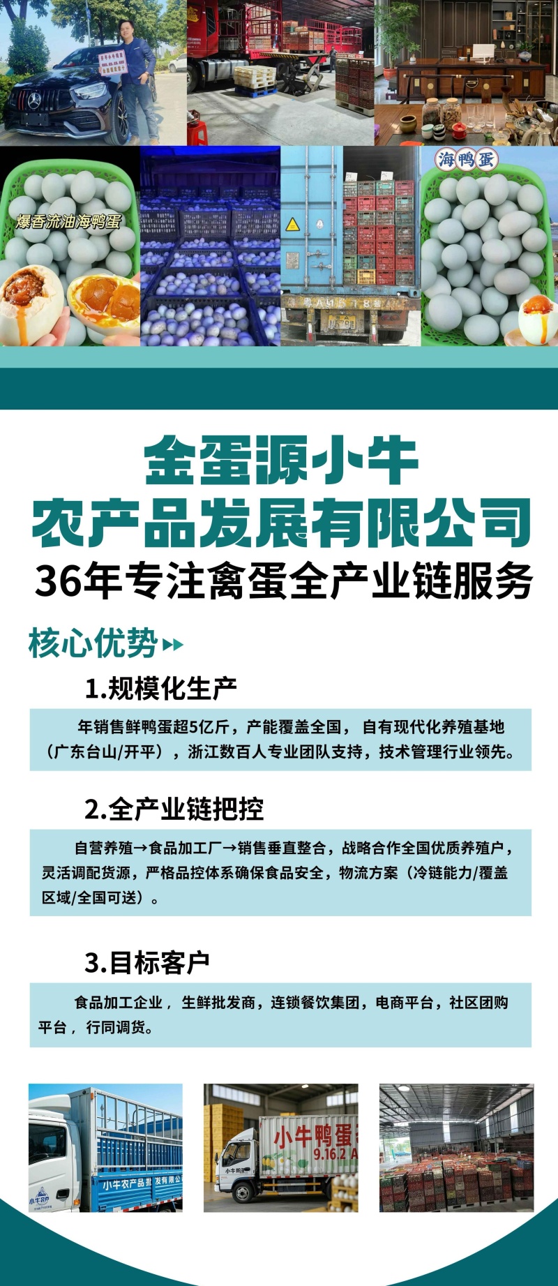 全国广东河南发货鲜海鸭蛋海鸭蛋鲜鸭蛋