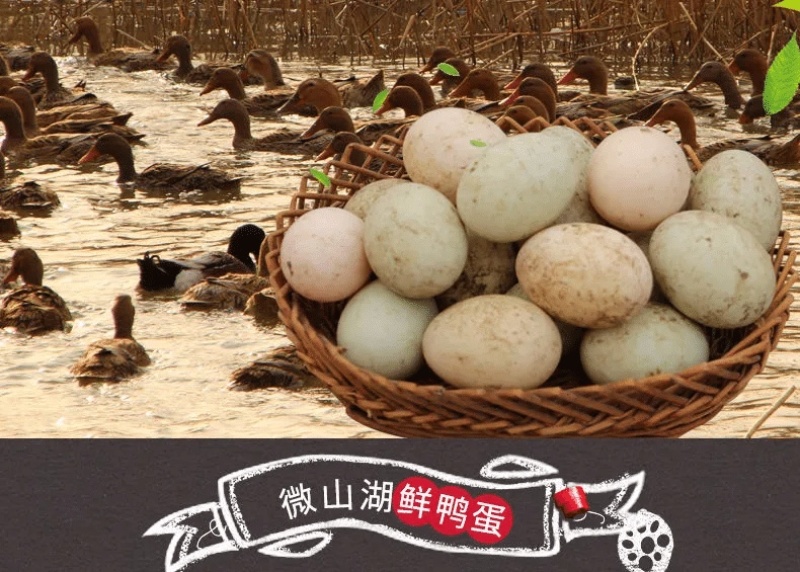 鸭蛋新鲜生鸭蛋微山湖正宗散养土鸭蛋青壳麻鸭蛋现捡现发