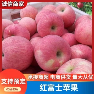 冷库纸袋红富士苹果颜色红，口感脆甜，可长期供应。