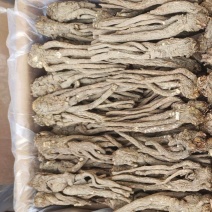 岷县当归精品原产地发货质量保证无硫精品货