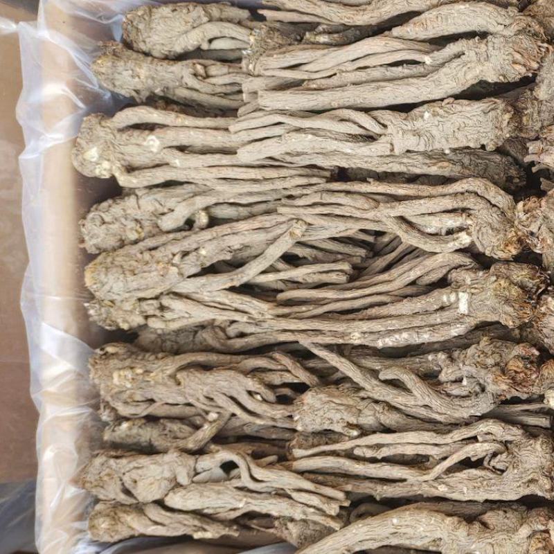 岷县当归精品原产地发货质量保证无硫精品货