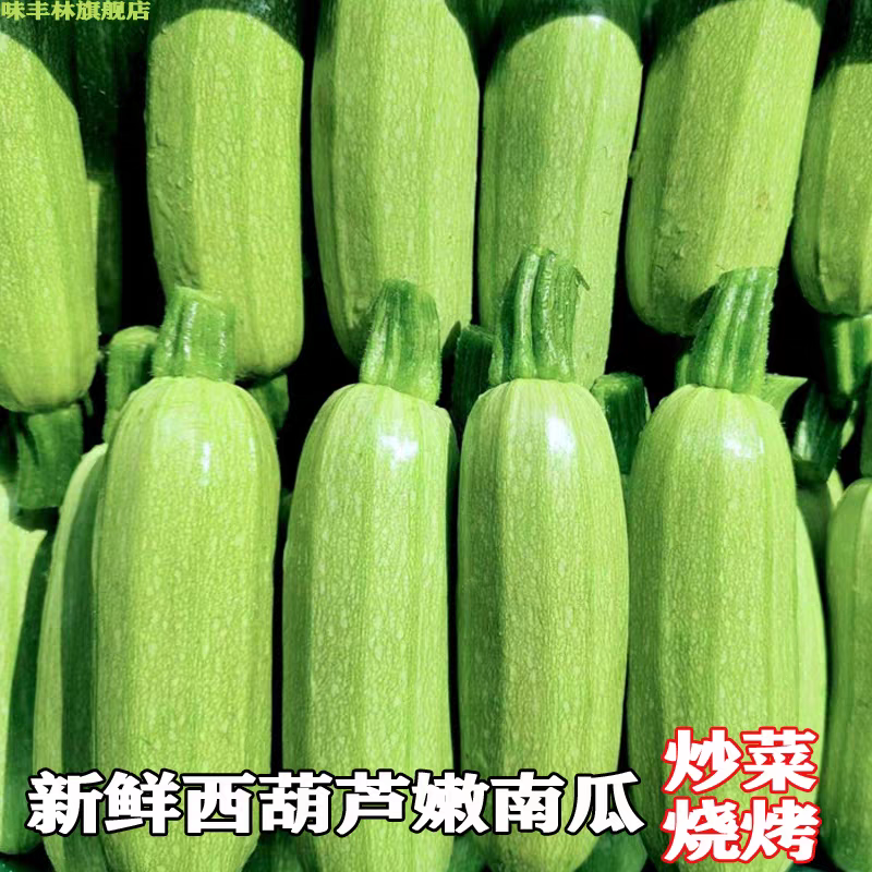 【精品】绿皮西葫芦产地直发欢迎咨询合作品质保证
