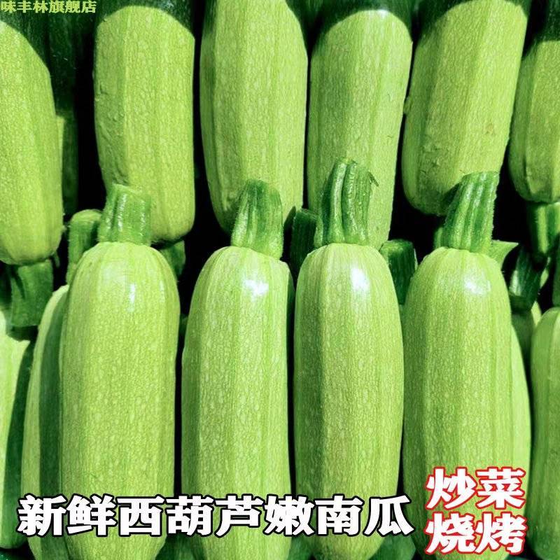 山东精品绿皮西葫芦产地直发大量供应中产地直发