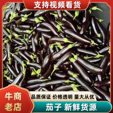 茄子支持视频看货，可发往全国市场