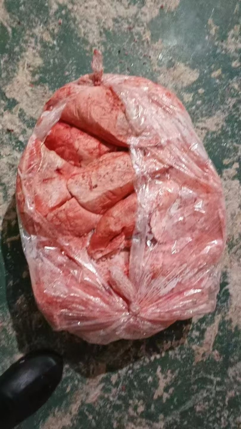猪肺饲料二级猪肺