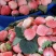 四川攀枝花精品三色草莓产地发货一手货源批发品质保证