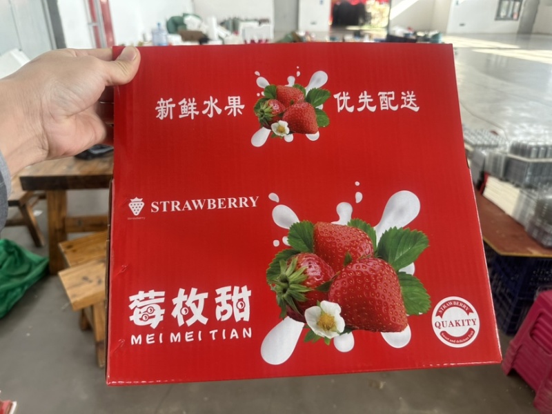 四川攀枝花精品三色草莓产地发货一手货源批发品质保证