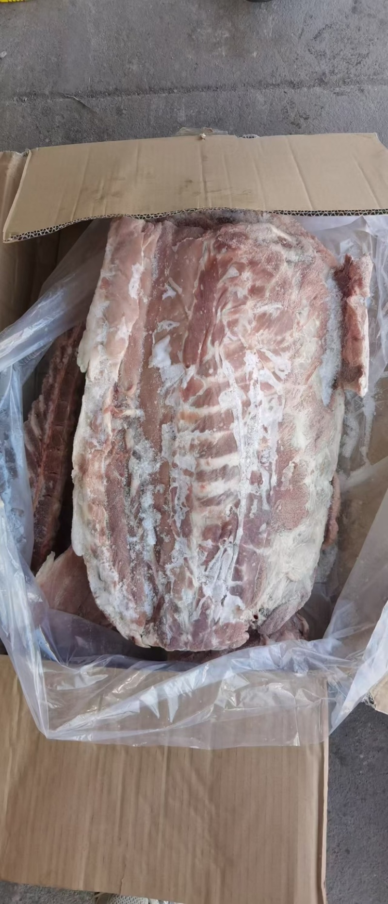 通排肥猪抄码货源稳定厂家直发全国发货