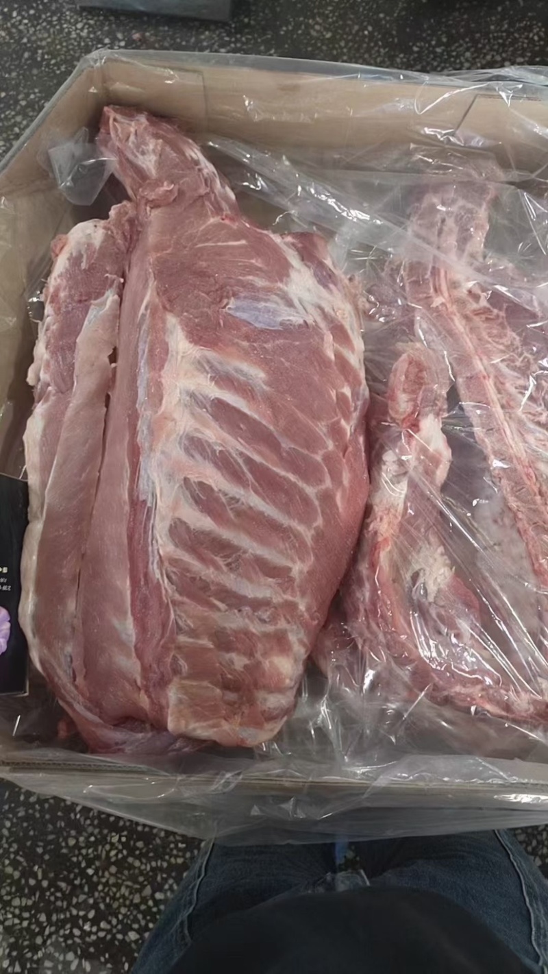 通排肥猪抄码货源稳定厂家直发全国发货