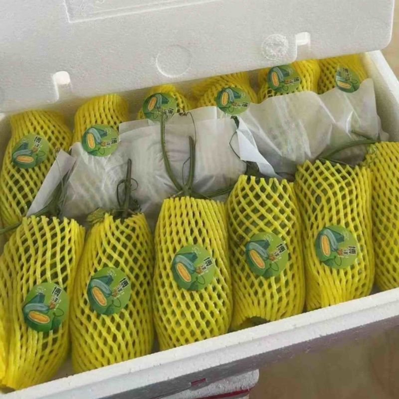 博洋72甜瓜博洋九甜瓜蜜源18甜瓜羊角蜜大量有货，