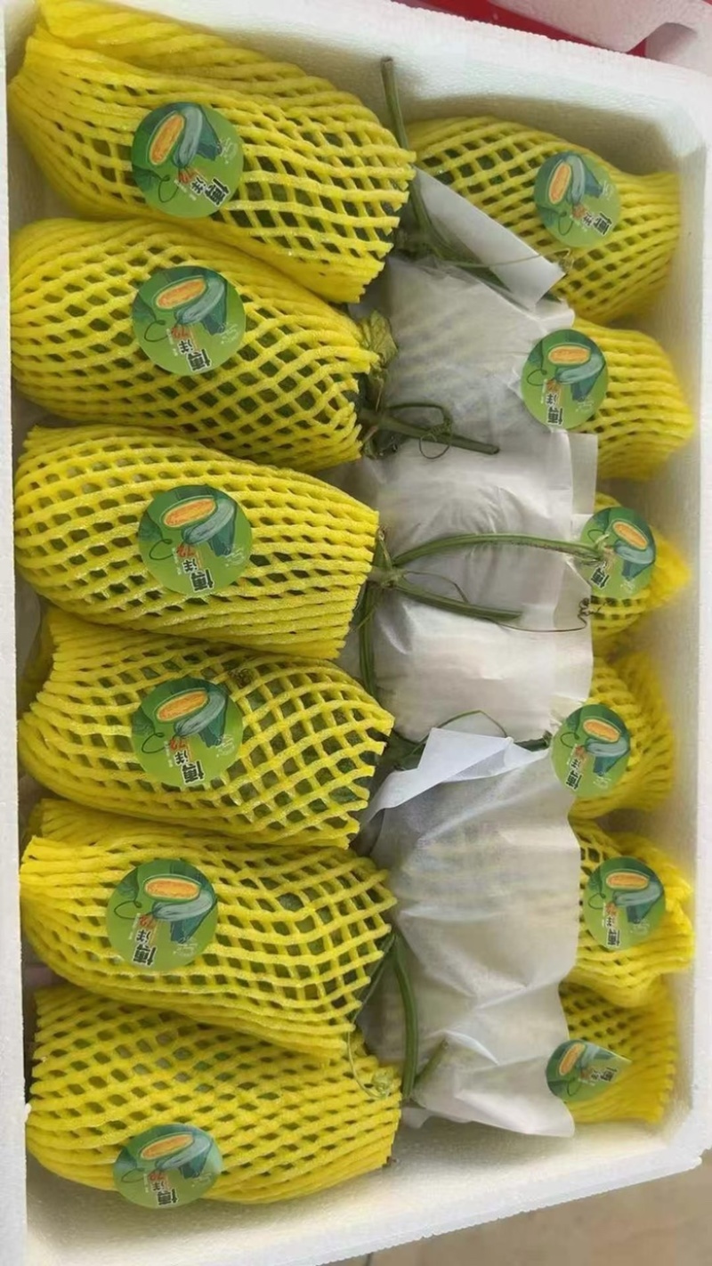 博洋72甜瓜博洋九甜瓜蜜源18甜瓜羊角蜜大量有货，