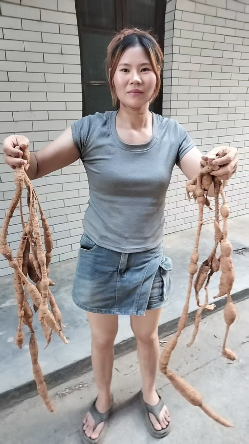 野生牛大力，大叶粉质野生牛大力，够老够甜，量大价优。