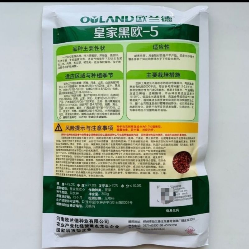 皇家黑欧一5菠菜种子叶卵圆形深绿色菠菜种子直立型肉厚菠菜