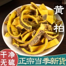 黄柏产地一手货源量大价优可供实体店批发零售