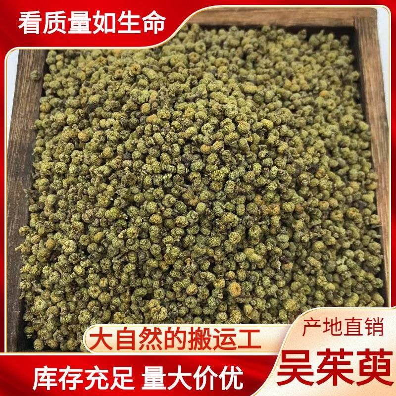 批发吴茱萸现货可长期供实体批发零售一手货源厂家货