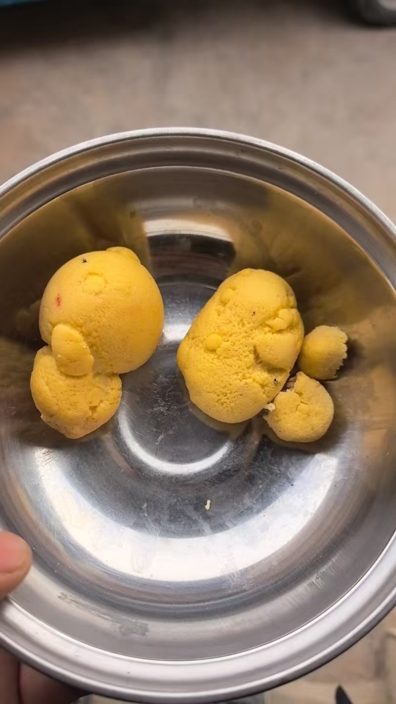 鸡宝