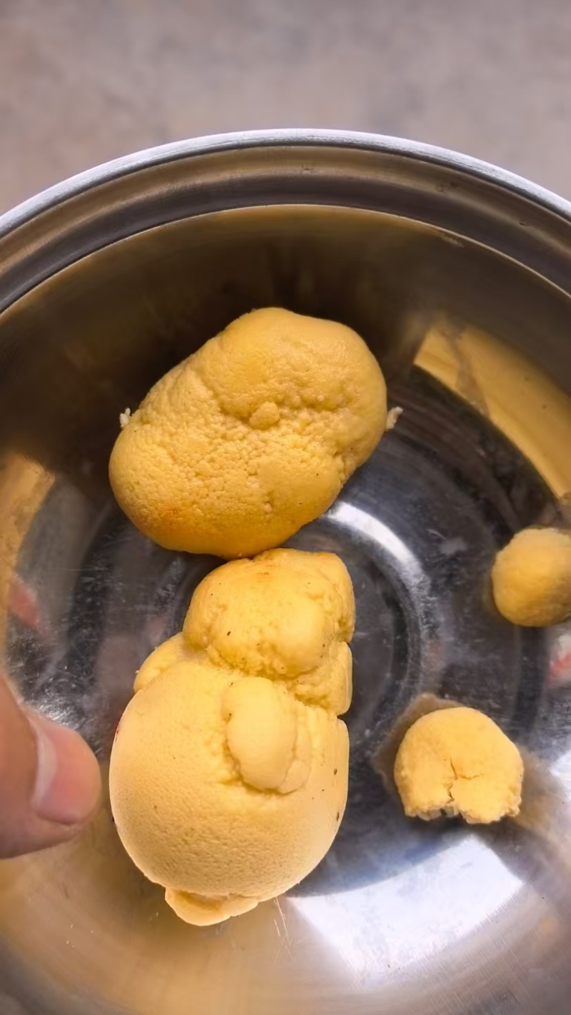 鸡宝