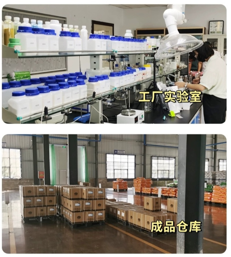 钙镁硼铁锌中量元素水溶肥锐护厂家直销瓜果蔬菜氮磷钾肥