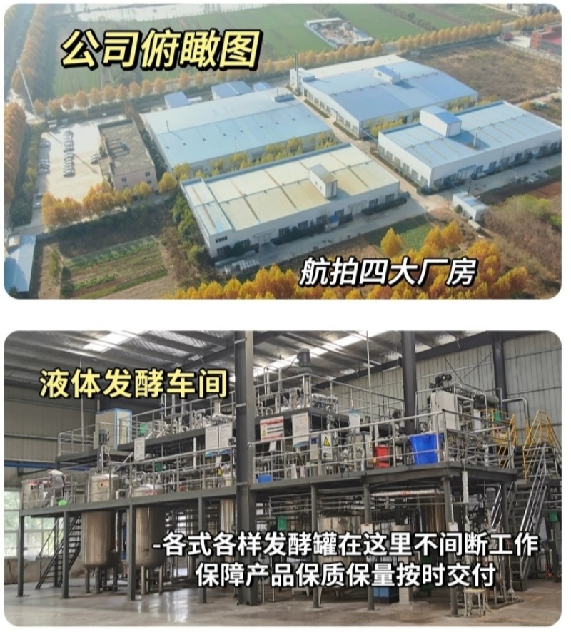 钙镁硼铁锌中量元素水溶肥锐护厂家直销瓜果蔬菜氮磷钾肥