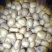 精品黄心土豆土豆，一手货源规格齐全，低价对接全国客商