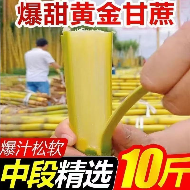 正宗云南黄金现砍甘蔗新鲜当季水果黄皮黑皮薄皮青皮多汁批发