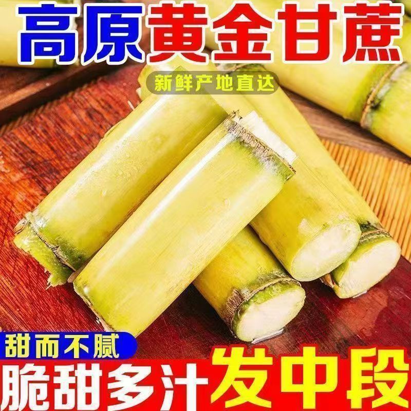 正宗云南黄金现砍甘蔗新鲜当季水果黄皮黑皮薄皮青皮多汁批发