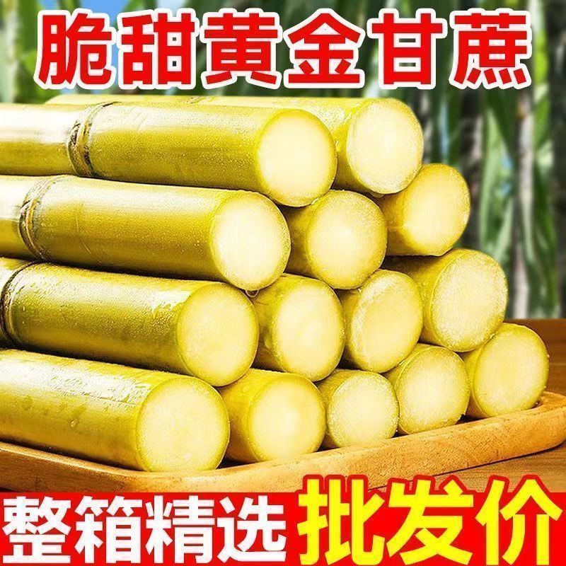 正宗云南黄金现砍甘蔗新鲜当季水果黄皮黑皮薄皮青皮多汁批发