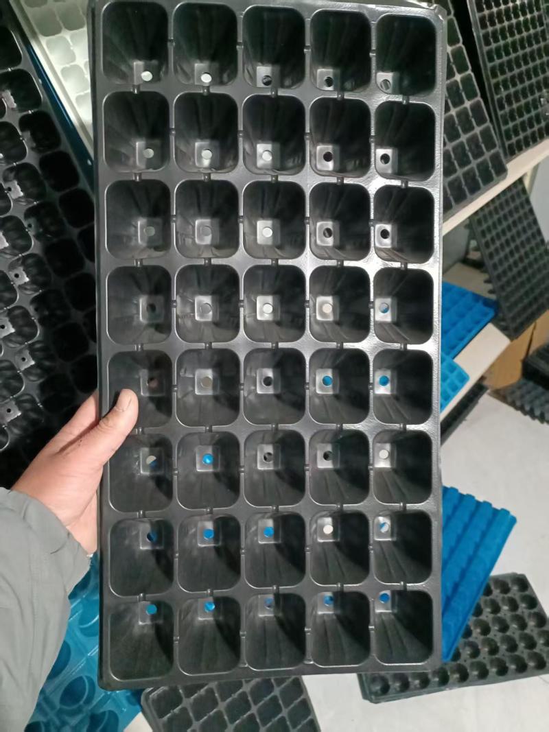 育苗穴盘大量供应，各种规格都有，欢迎骚扰