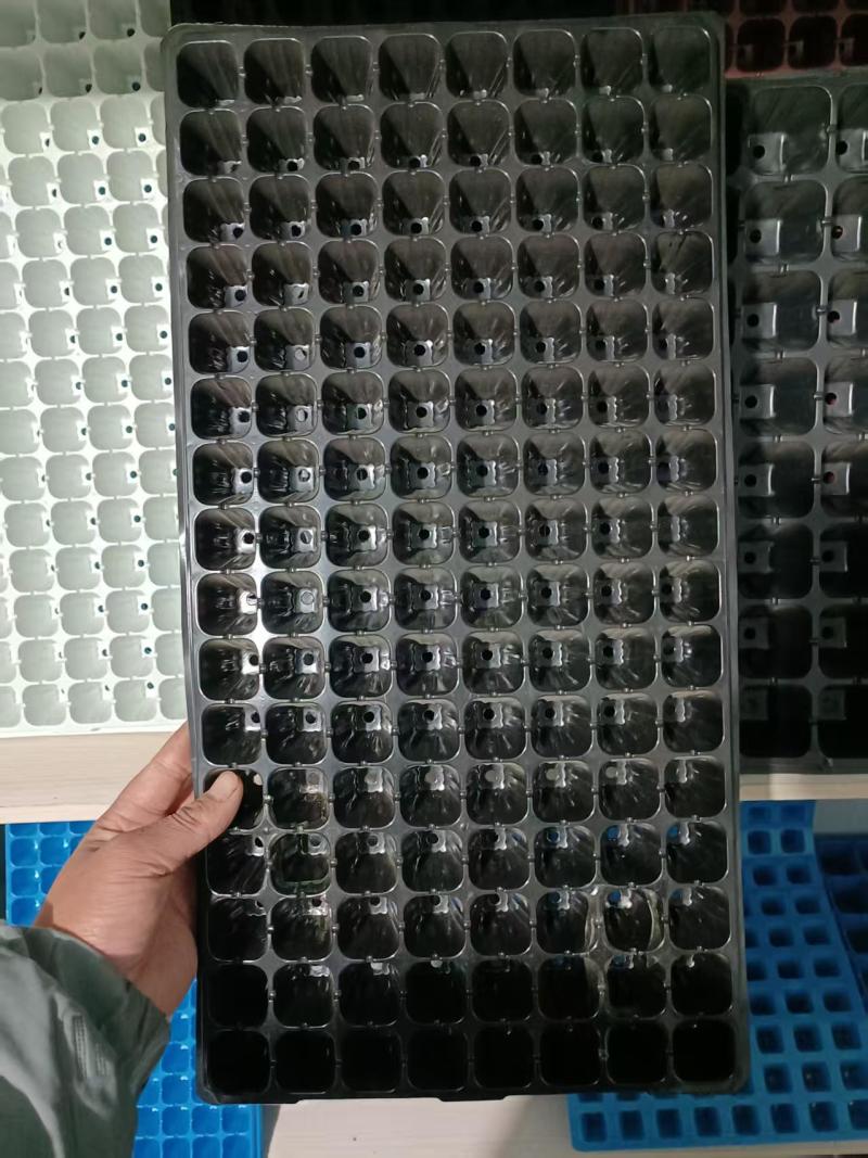育苗穴盘大量供应，各种规格都有，欢迎骚扰