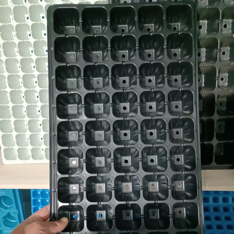 育苗穴盘大量供应，各种规格都有，欢迎骚扰
