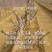 血桃苗新品种桃苗冬桃苗全红蜜桃苗品种保证免费指导包邮