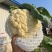 小米粒花菜有机花松花菜散花精品花菜一手货源