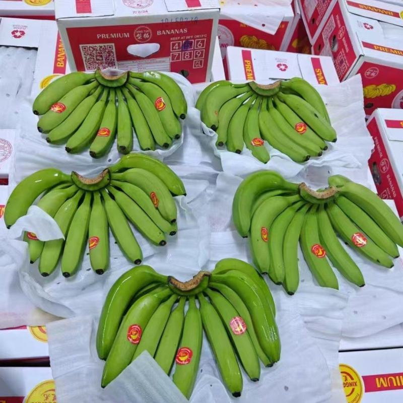 大量供应精品进口香蕉菲律宾越南柬埔寨老挝一手货源全国发货