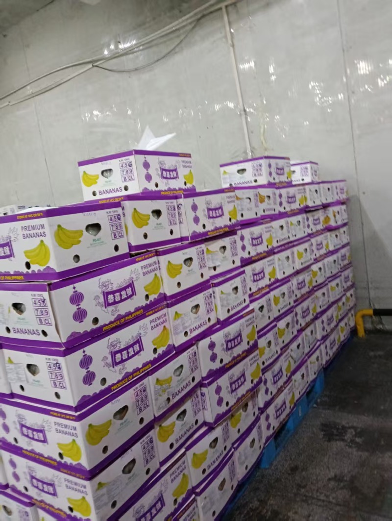 大量供应精品进口香蕉菲律宾越南柬埔寨老挝一手货源全国发货