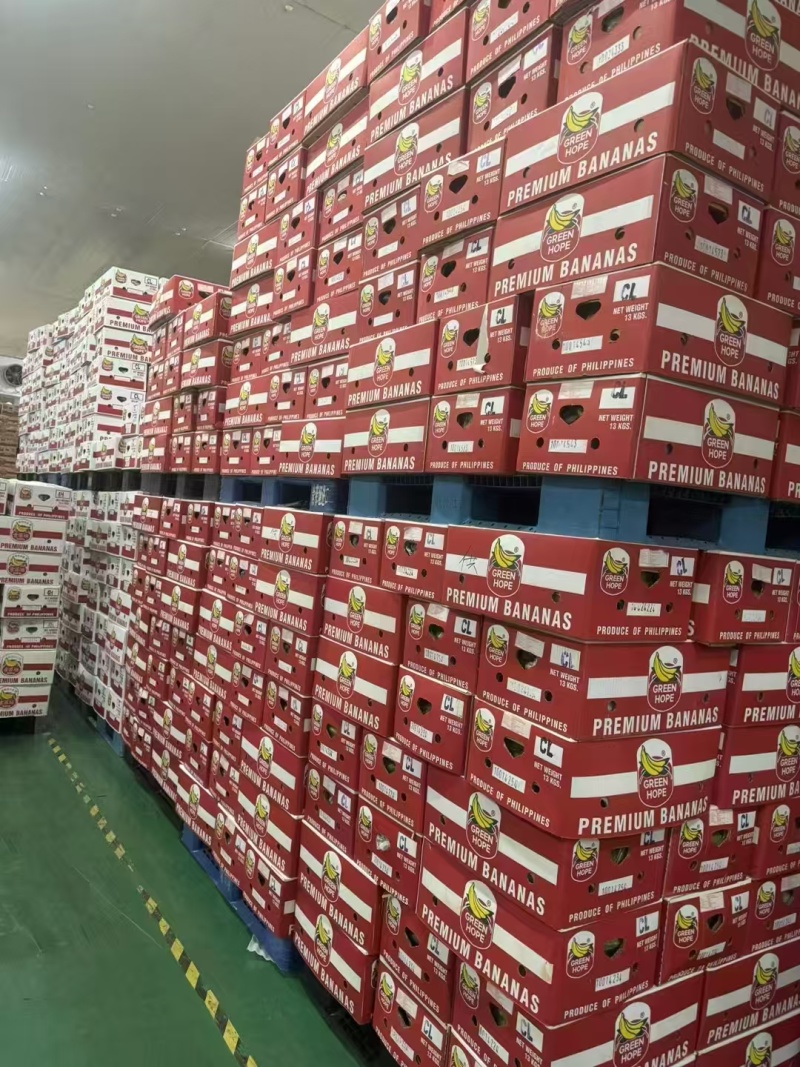 大量供应精品进口香蕉菲律宾越南柬埔寨老挝一手货源全国发货
