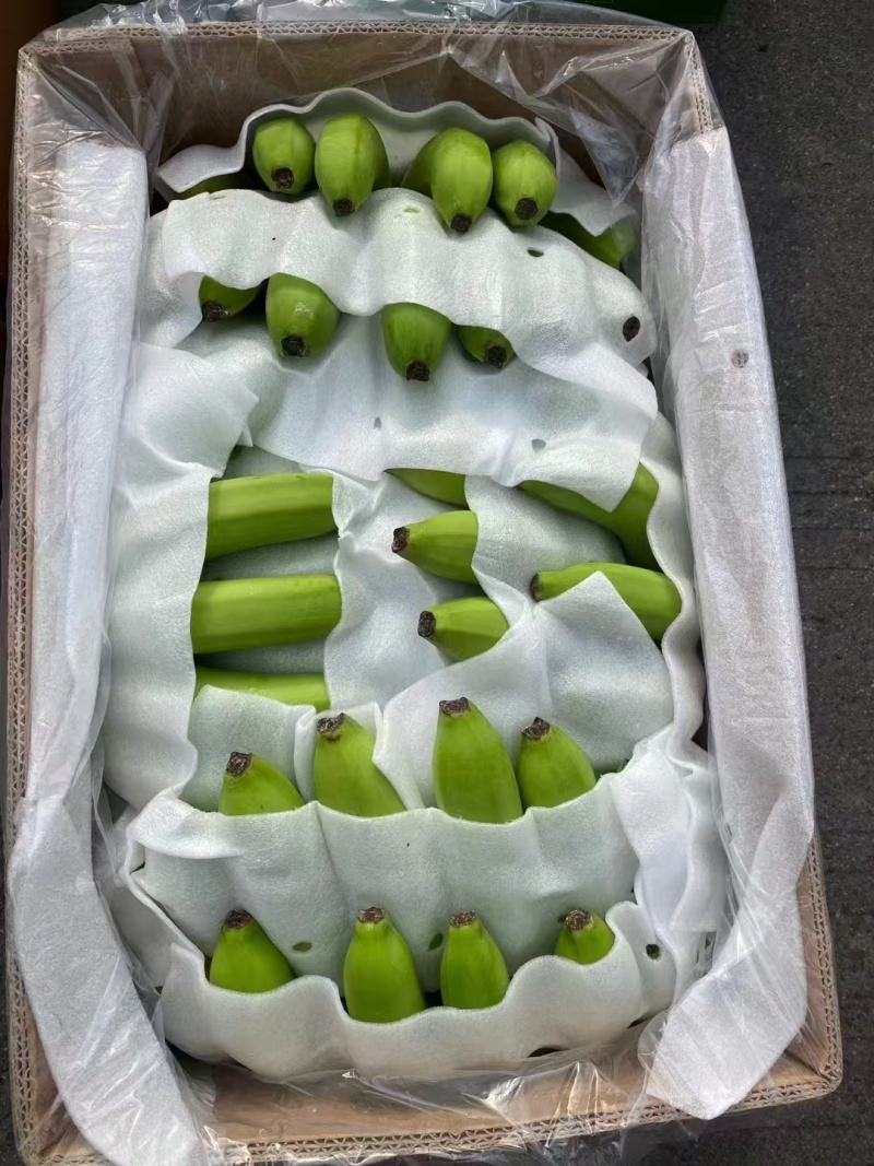 大量供应精品进口香蕉菲律宾越南柬埔寨老挝一手货源全国发货
