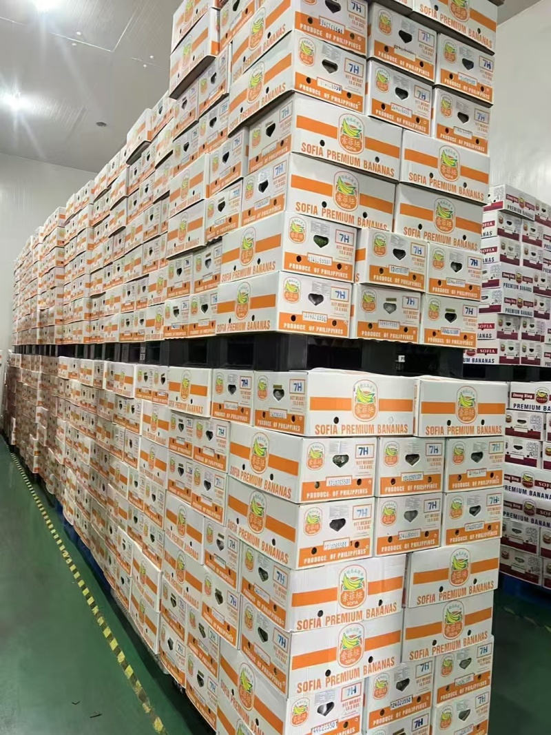 大量供应精品进口香蕉菲律宾越南柬埔寨老挝一手货源全国发货