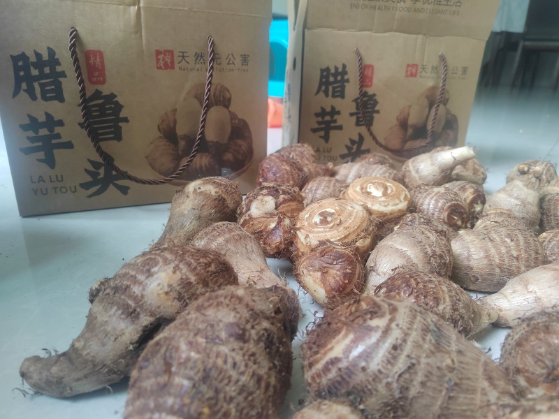毛芋头
