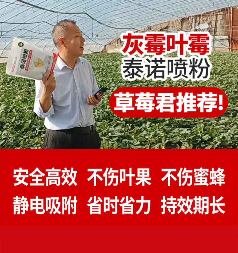 泰诺药业灰霉叶霉喷粉防治,省时省工省力不伤花果不伤蜂