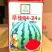 善高早佳8424冰糖麒麟西瓜种子早熟圆形薄皮西瓜种籽罐装