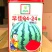 善高早佳8424冰糖麒麟西瓜种子早熟圆形薄皮西瓜种籽罐装