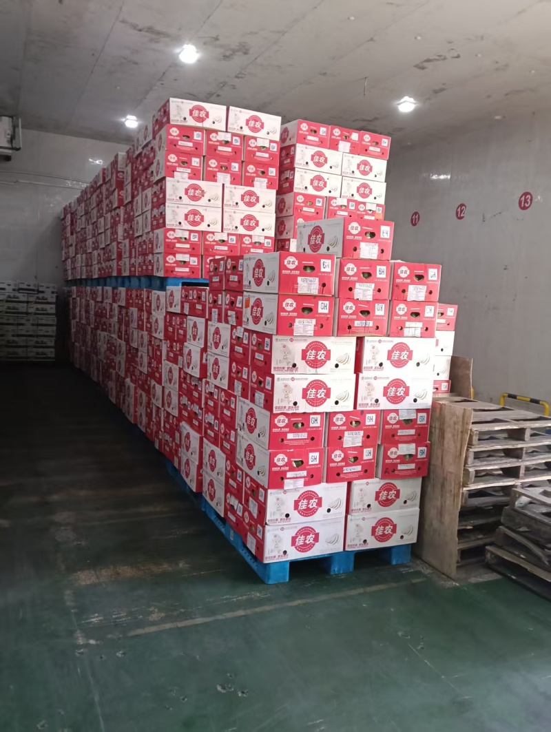本公司常年大量供应菲律宾，越南，柬埔寨，印尼，南美香蕉