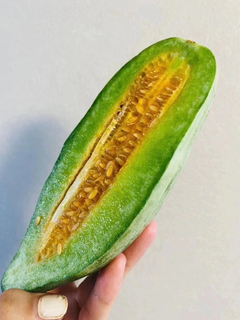 【精选好货】山东优质羊角蜜甜瓜货源充足量大从优