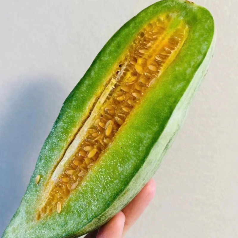 【精选好货】山东优质羊角蜜甜瓜货源充足量大从优